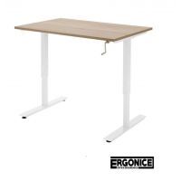 Ergonice Ergo Move 113 zit sta bureau met slinger