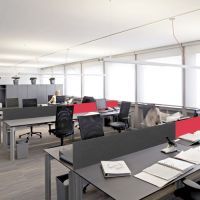 Buzzidesk-diverse-maten