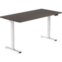 Euroseats Economy 2-motorig elektrisch zit-sta bureau 