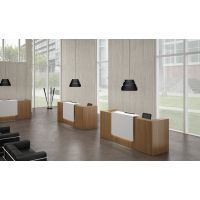Receptiebalie Quadro Xray-02