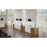 Receptiebalie Quadro Xray 20-05