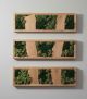 Botanische wanddecoratie van mos – 3-luik